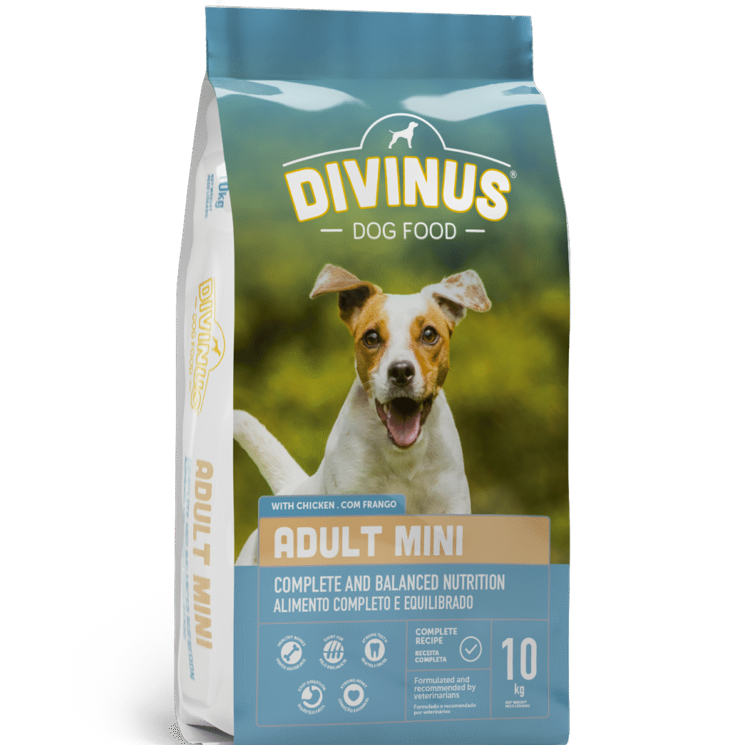 Divinus Adult mini dla ras małych 10kg