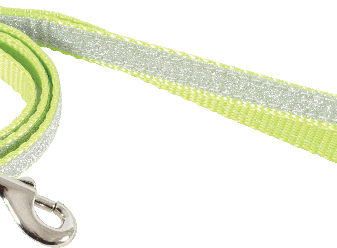 Zolux Smycz dla kota nylon Shiny kolor zielony
