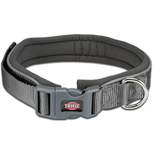 Obroża NYLON, L-XL: 40-65 cm/ 25 mm, królewski błękit - obrazek 2