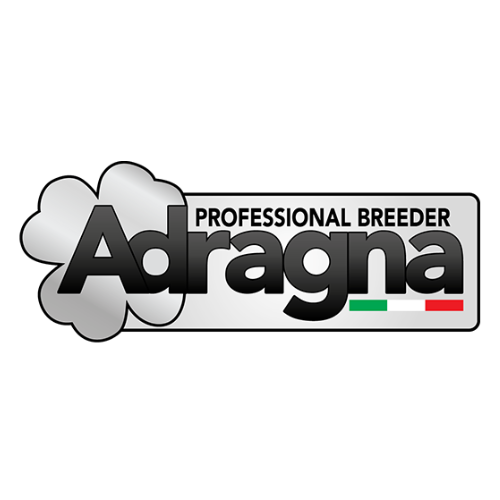 Adragna